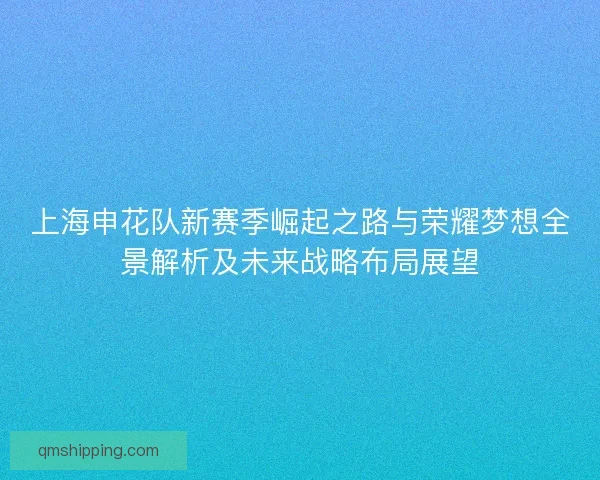 上海申花队新赛季崛起之路与荣耀梦想全景解析及未来战略布局展望