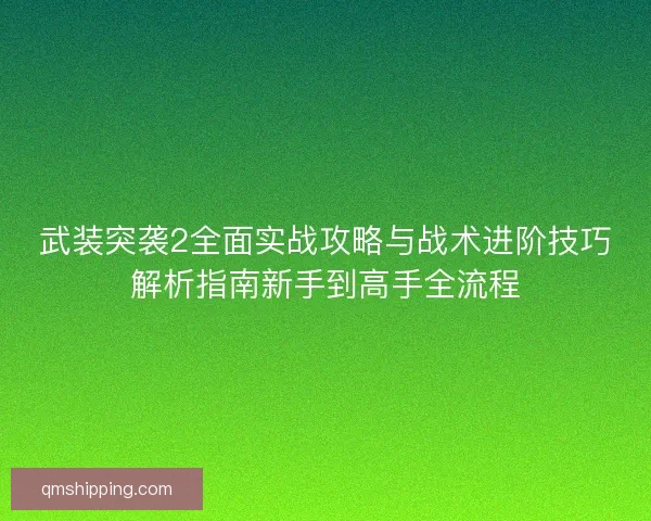 武装突袭2全面实战攻略与战术进阶技巧解析指南新手到高手全流程