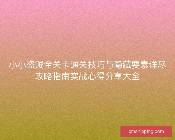 小小盗贼全关卡通关技巧与隐藏要素详尽攻略指南实战心得分享大全